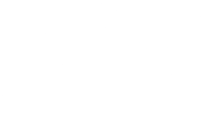 pp